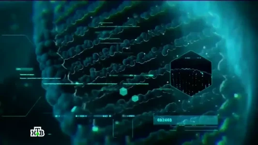 Постер ДНК 08.12.2025 на НТВ
